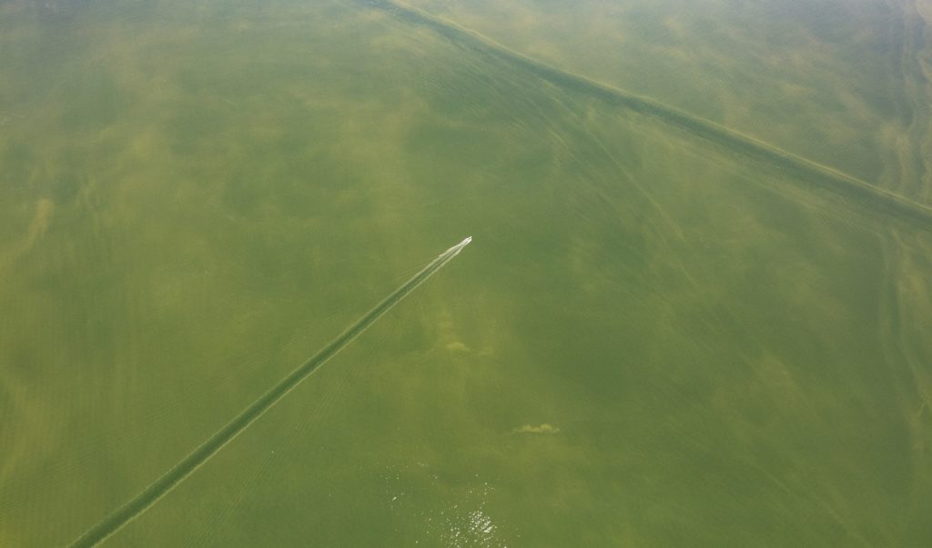 Lake Erie turns toxic every summer. Officials aren’t cracking down on the source.