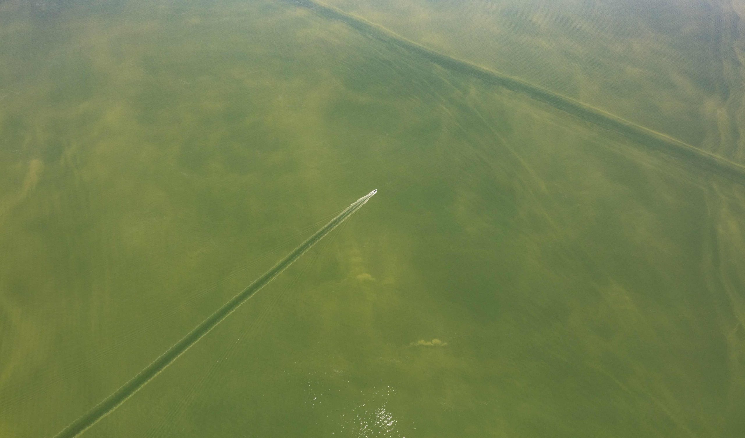 In the Great Lakes' most productive fishing grounds, algae-fueled