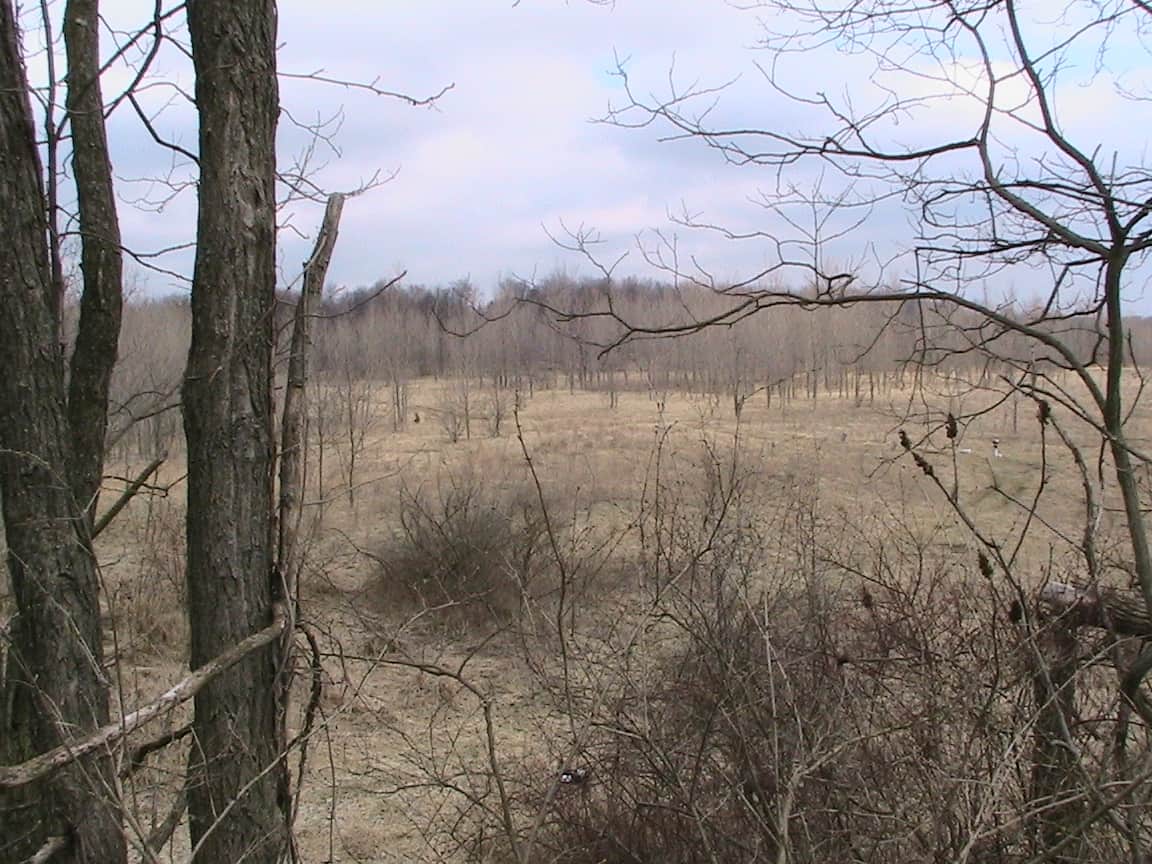 Inside the decadeslong fight over an Ohio Superfund site Center for