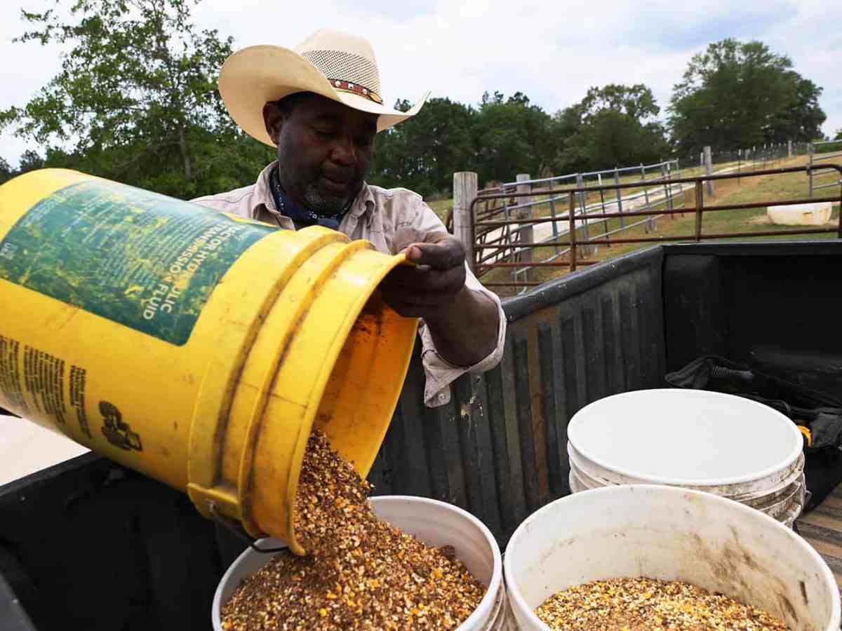 Biden’s racial equity efforts for farmers of color hit legal roadblocks