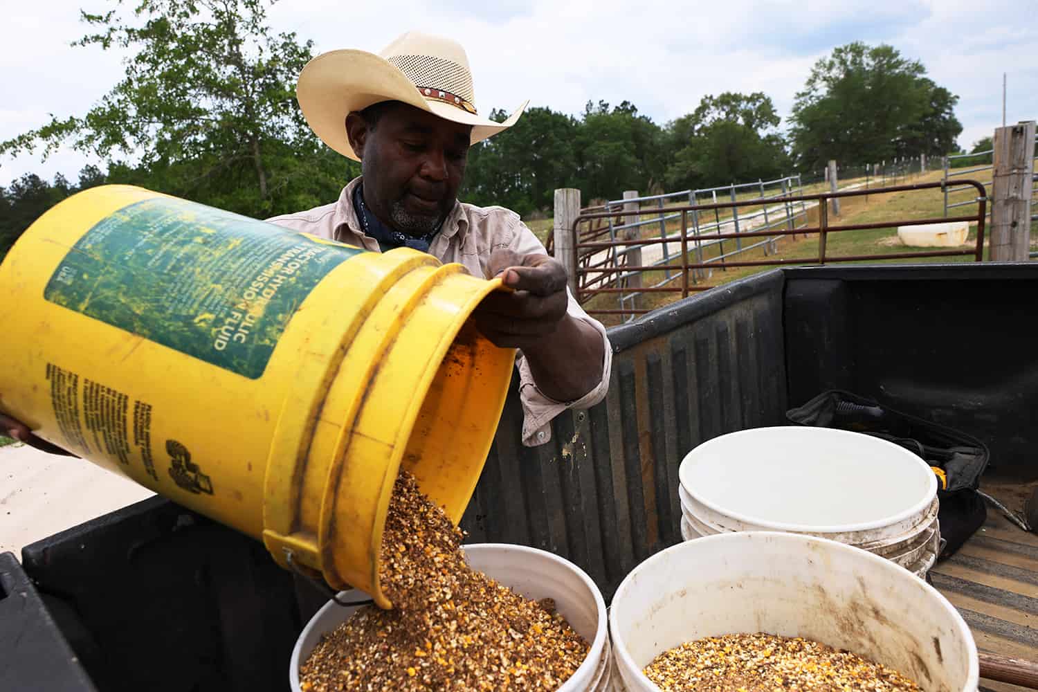 Handy Kennedy, a Black farmer, dumps feed into a buck in order to give to his cows.