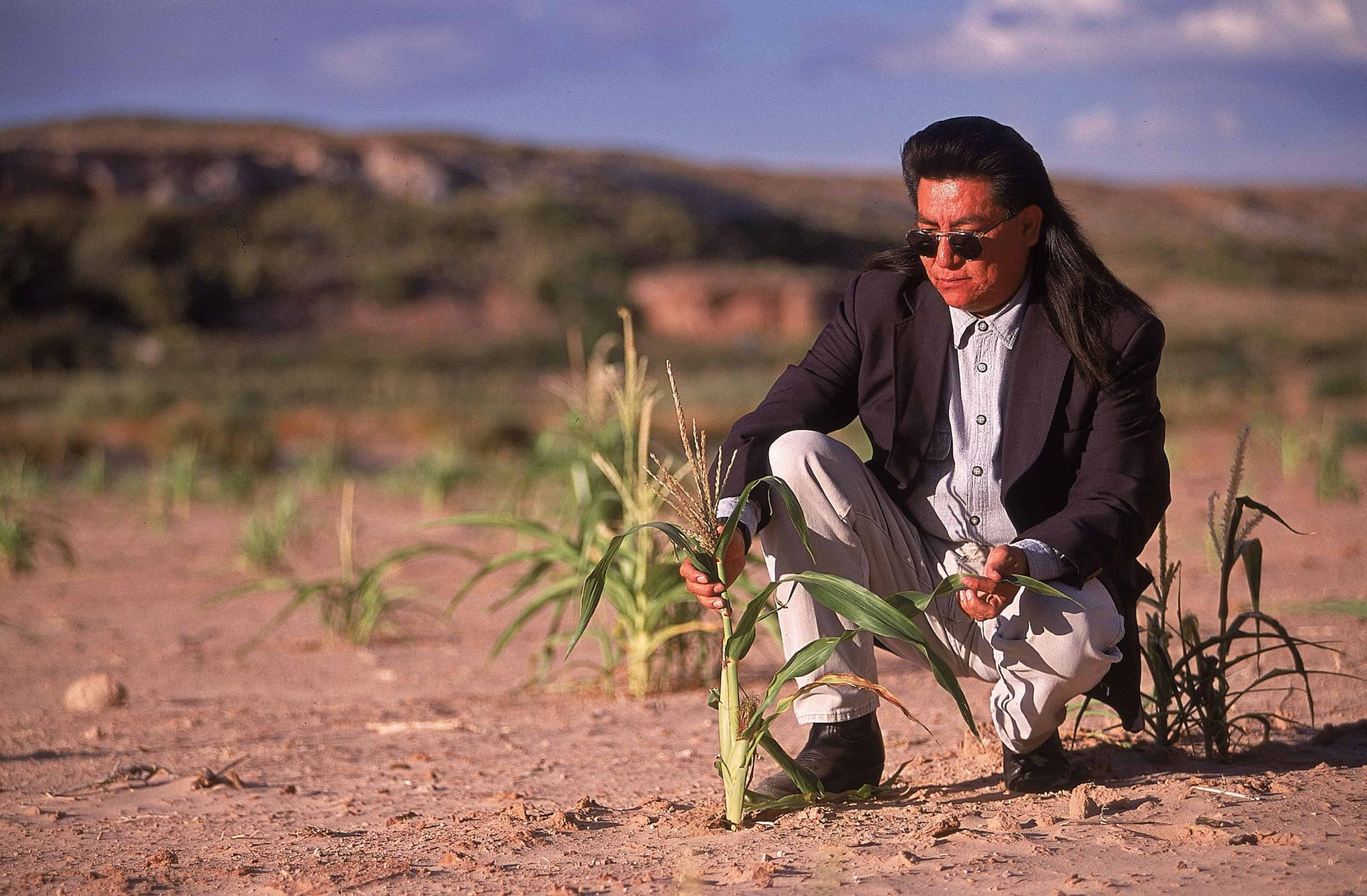 Indigenous farmer Harris Polelanema shows his stunted corn on his Hopi Reservation plot.