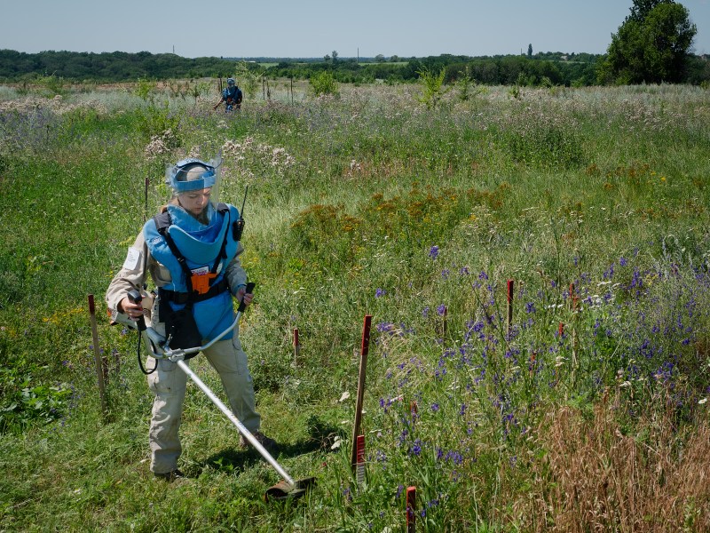 Woman in blue protective gear uses weed cutter to mow grass around potential mine areas. She is in a green field with wildflowers. Another deminer and trees are in the background.
