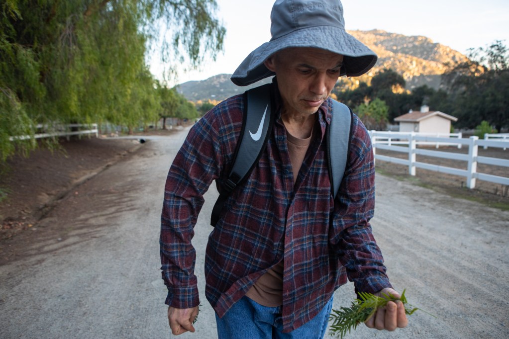 Joaquin Carson walks along a road with white fences on either side. He wears a gray brimmed hat and a maroon and blue plaid shirt. He small pieces of pine branches in his left hand.