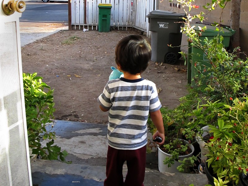 The view from behind 2-year-old Nalleli Garrido's as he looks out on his porch.