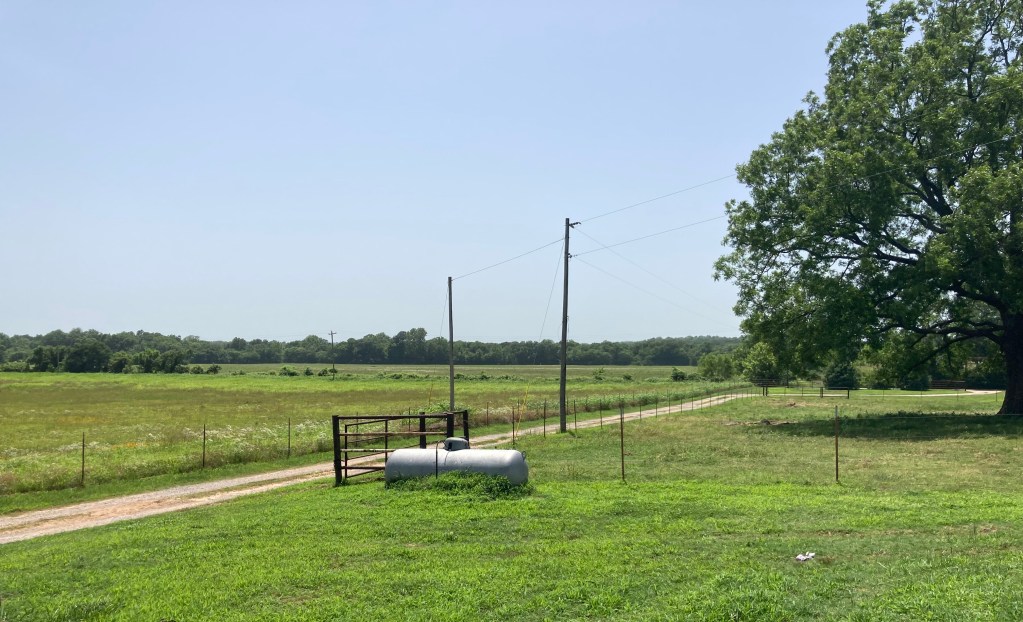 Sprawling farmland fenced lined with trees. There is also a dirt road that runs through the farmland. 