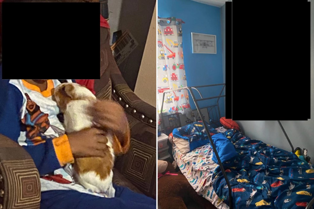 The photo to the left shows the student, face redacted with a black rectangle, holding a guinea pig. The photo to the right shows his bedroom, with colorful curtains decorated with vehicles and a large stuffed animal beside the bed.